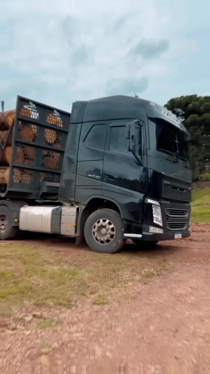 Caminhão carregado de toras de Pinus durante a operação