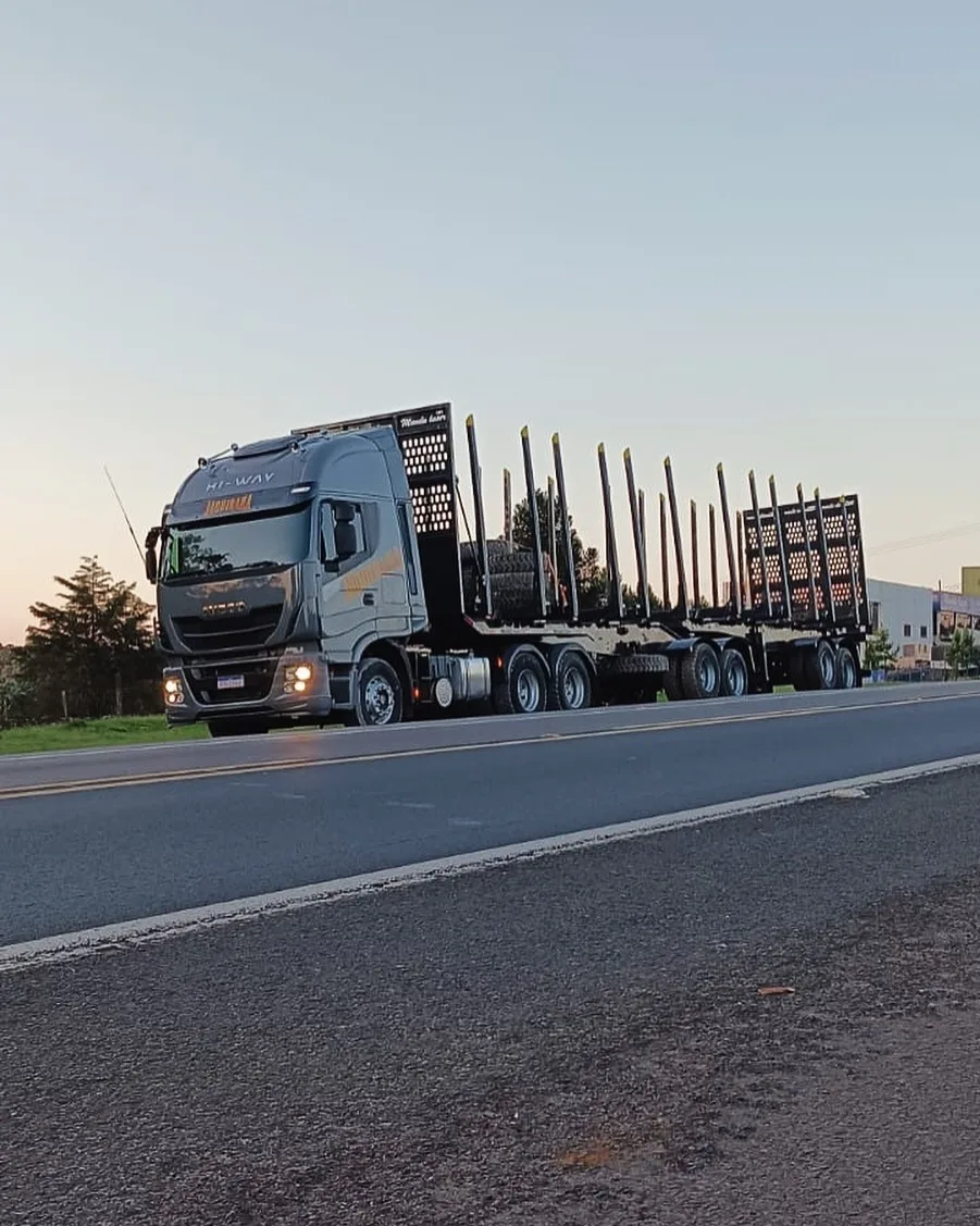 Caminhão carregado de toras de Pinus em rodovia