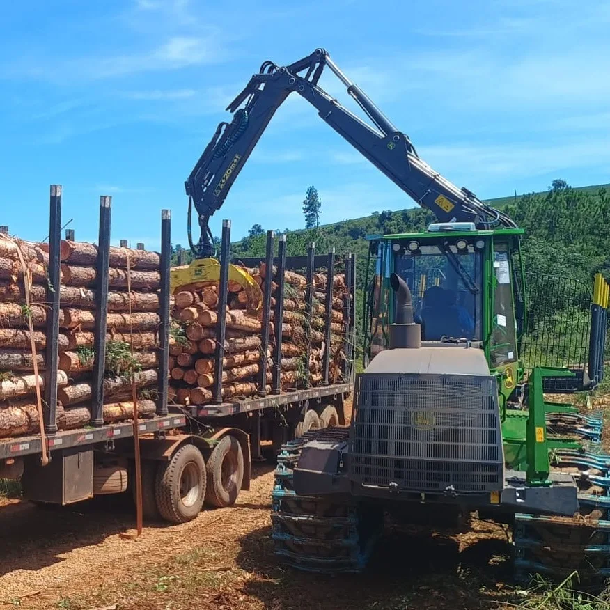Garra florestal carregando toras em caminhão